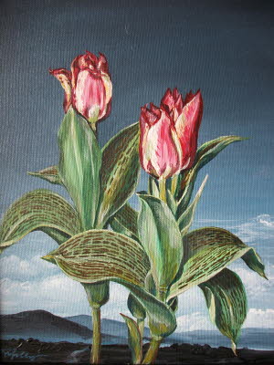 Tulpen